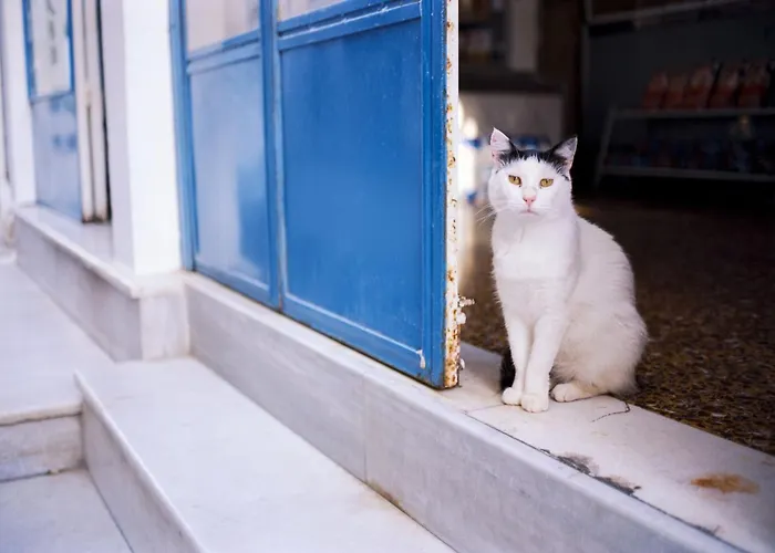 Villa Elegant Santorini House 3 Bedroom Caldera View-outdoor Hot Tholos (Santorini)